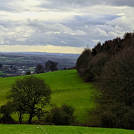 Colour photograph showing green hills in the foreground, with a dense copse of bare trees to the right, and a hill in the background with a crooked peak
