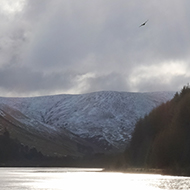A buzzard flies out of the glare of the sun over an icy loch bounded by wintery hills.