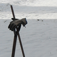 Abandoned shovel and brush on edge of snow-covered farmyard
