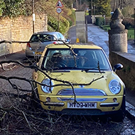 A yellow car parked at the side of the road. There is a tree that was been blown over in a storm resting across the car.