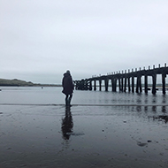 A woman overlooking an estuary with rail bridge ruins silhouetted against the grey waters and skies.