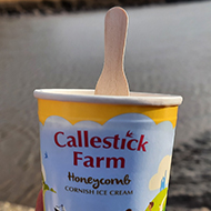 A hand holding a small tub of ice cream with a wooden spoon stuck out of the top, with a wide river in the background