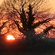 Setting sun on the horizon, the canal water shimmering in the evening light, bare trees reflected in the water