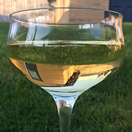 Glass of champagne with reflection of house in the liquid