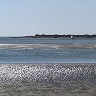 sunlight on sea and sand making a silver effect