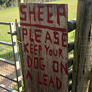 A rural footpath gate into a field, with a makeshift wooden sign next to it reading 