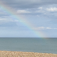Rainbow, dog, beach