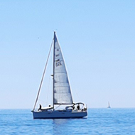 A woman swimming away from the camera in a still sea pool. In the background, a sailing ship passes by.