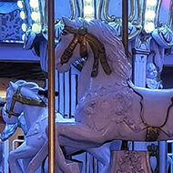 Carousel of horses with lights