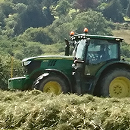 The back garden of our new home overlooks a field and valley. This week we were treated to a bird’s eye view  of the farmer pulling this amazing machine behind his tractor which had two circular horizontal wheels which cut the grass and separated it into neat rows. Two days later another machine was used to suck up the grass, chop it into bits and spew it back out into the bucket of the truck, to be used for silage. This week was not so good - the waft coming our way told us it was muck spreading time, so windows and doors kept firmly shut! Ugh!!!