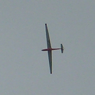 Looking up towards a cloud under which a large number of gliders were circling. There were at least 20 in the thermal at one time.