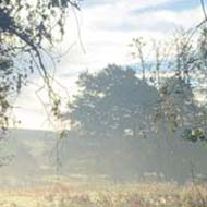 View of the sun over the fields in Brockdish