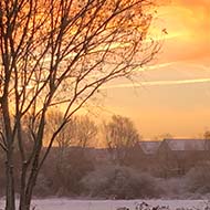 A garden covered in snow, bathed in a soft, pinkish light from an early-morning dusky sky