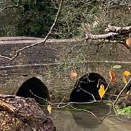 A clear stream running through a garden behind a large old white building