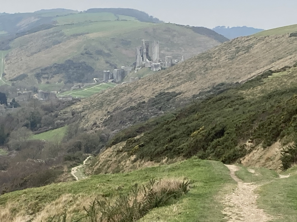We see Corfe Castle emerge from the mist in the distance on a walk across the hills from Swanage