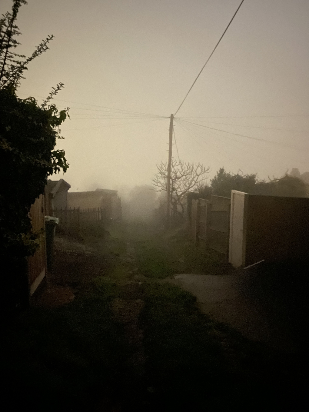 A view down a foggy alley