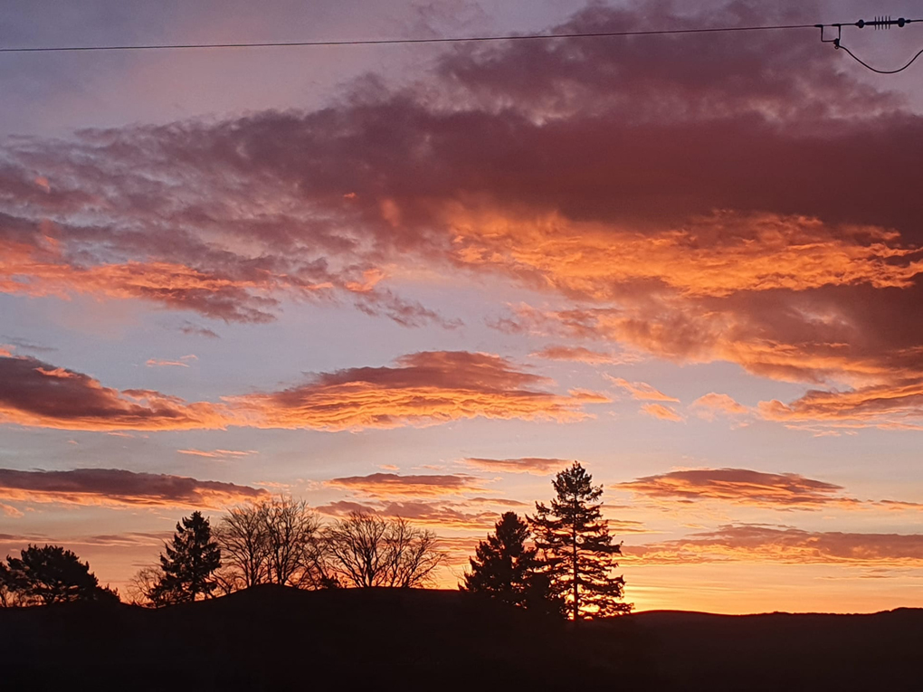 Glorious sunrise taken by my brother in Aberdeenshire. Clumps of bright orange clouds drifting across a wintry pale blue and slightly mauve sky with various trees silhouetted against the softly undulating horizon. A great herald to the start of  2022 on this site.