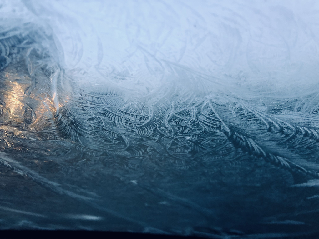 Feather-like ice patterns on a car windscreen