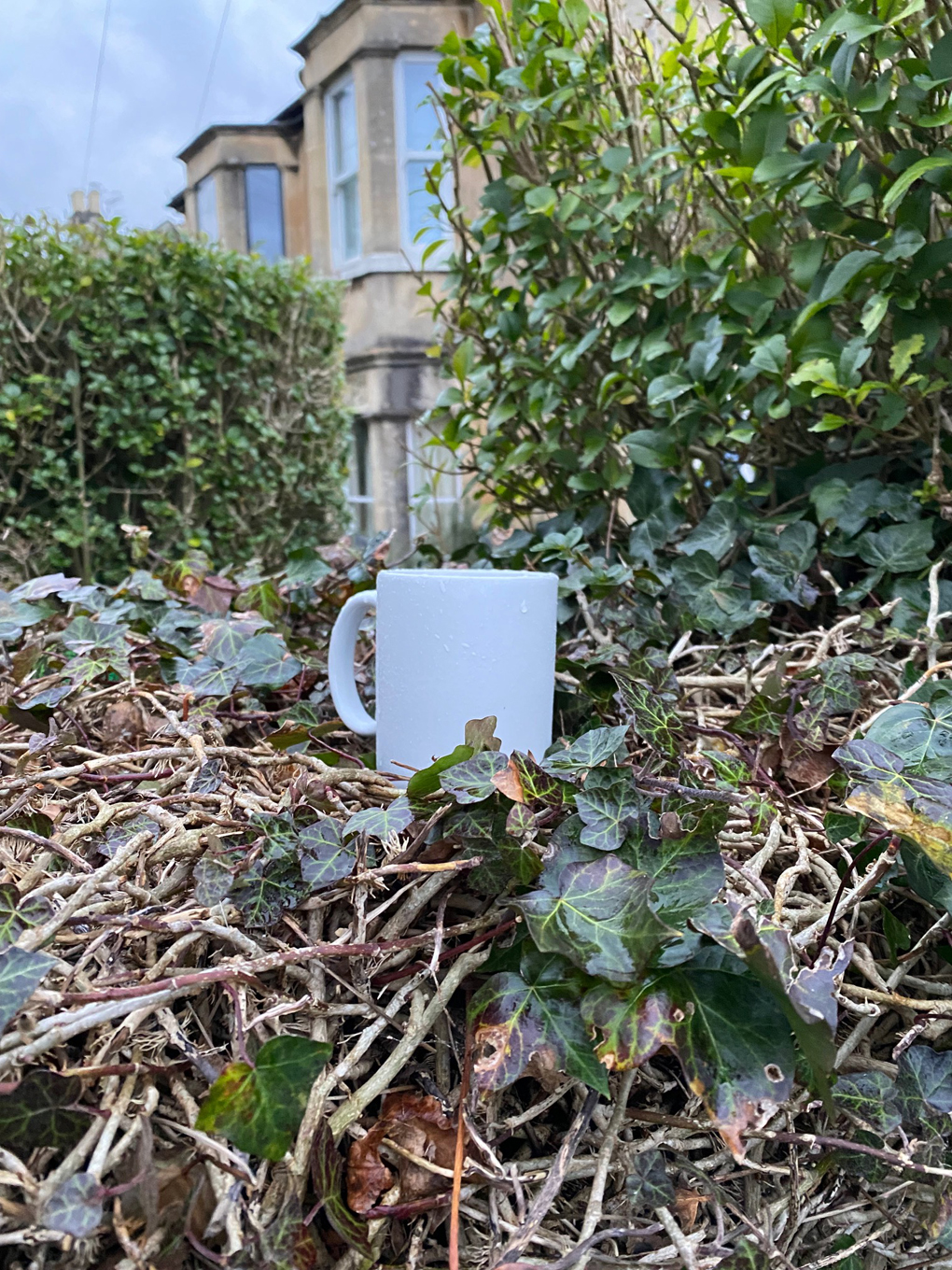 A clean, white mug perched on the corner of a fence, surrounded by green ivy