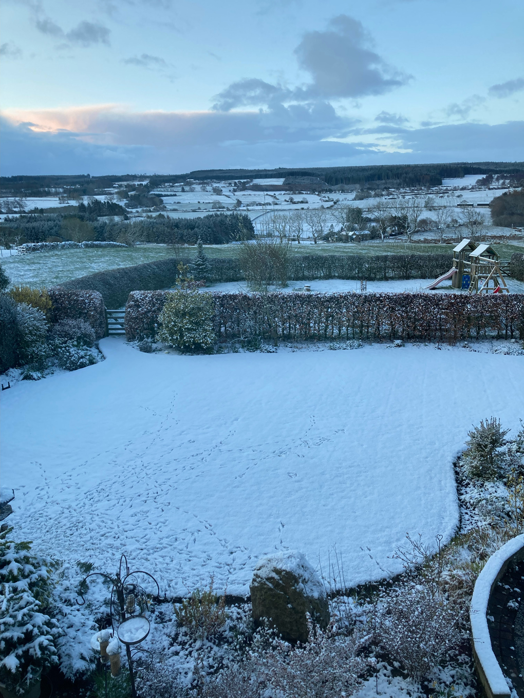 Snow covered garden