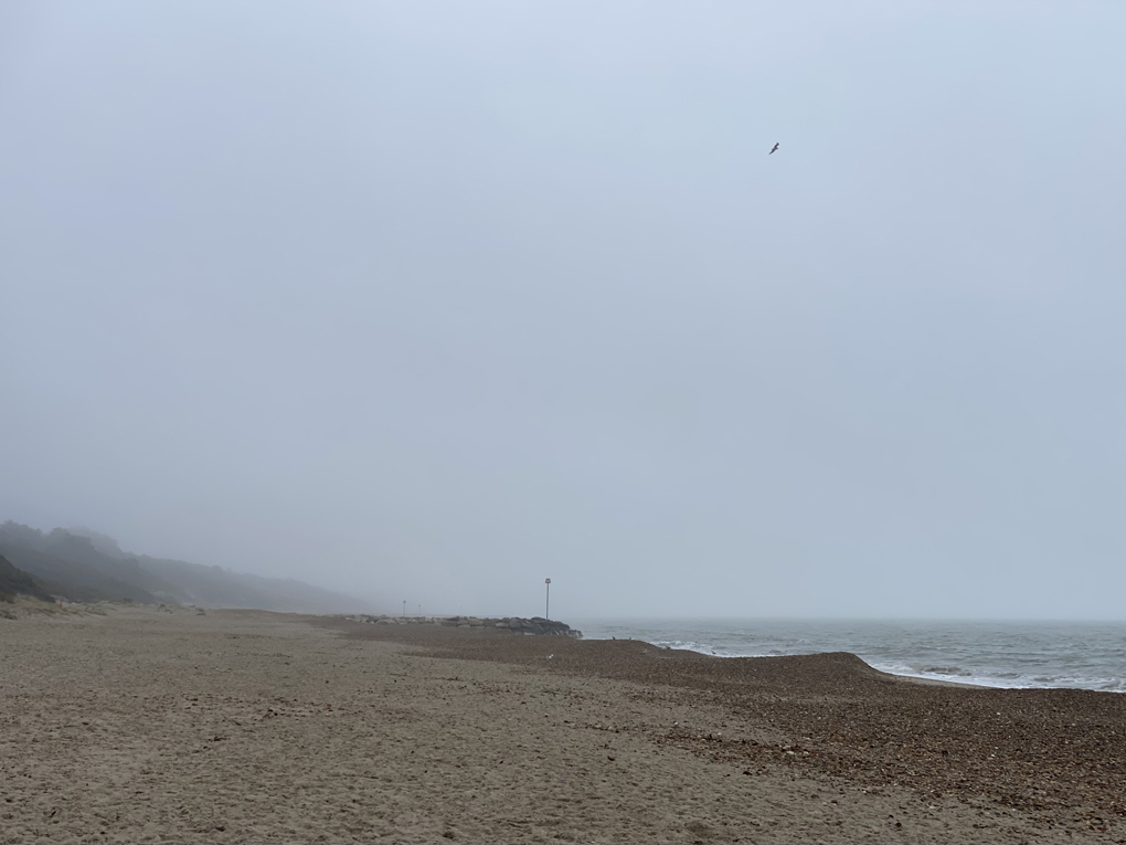 A sandy beach with the horizon fading into fog and a seabird flying overhead