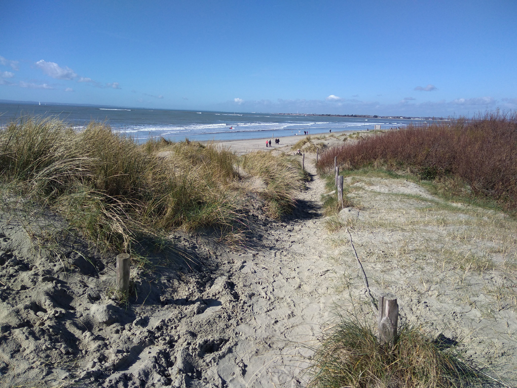 It shows a path through the sand dunes leading down to the sandy beach and blue sea with a blue sky above
