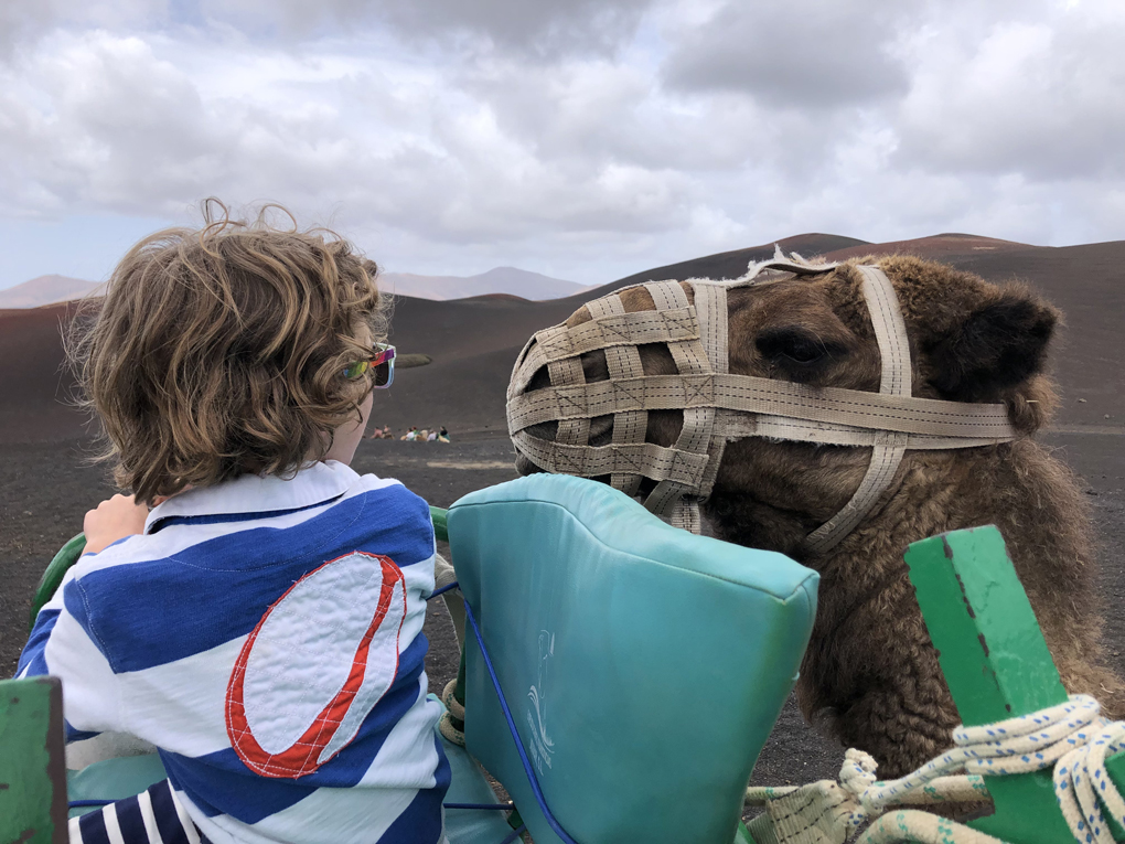 A muzzled camel and a small boy with long dark blonde hair looking at each other, with a desolate  volcanic vista in the background.