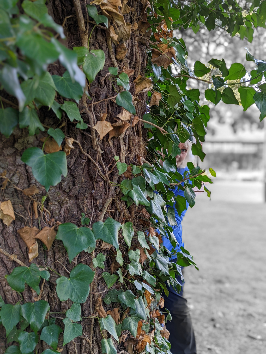 Lady peeping out from behind a tree