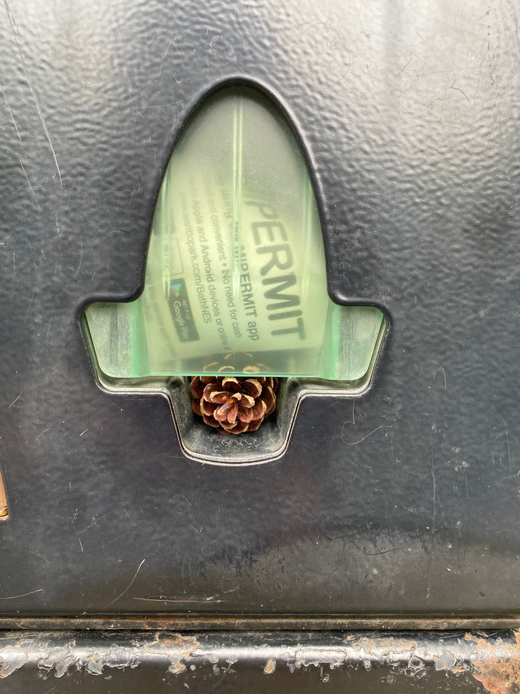 A small brown pinecone pushed into the slot in a ticket machine where the ticket should come out
