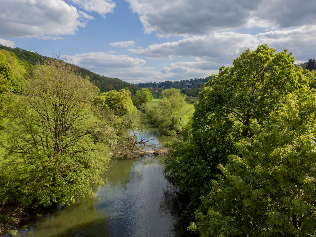 A luscious green valley with forested sides in bright green and a dark brook running down the centre