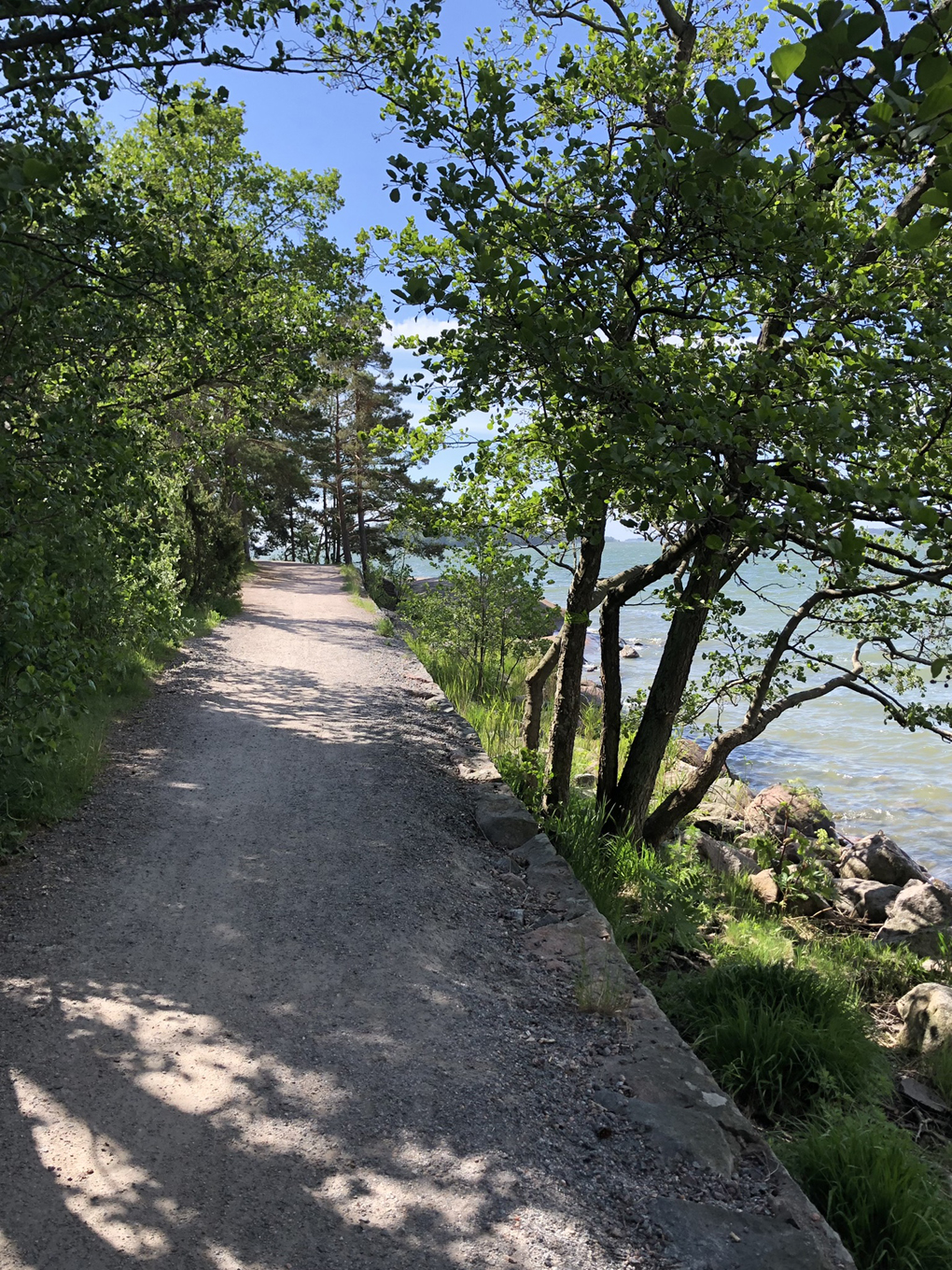 A path in the forest by water.