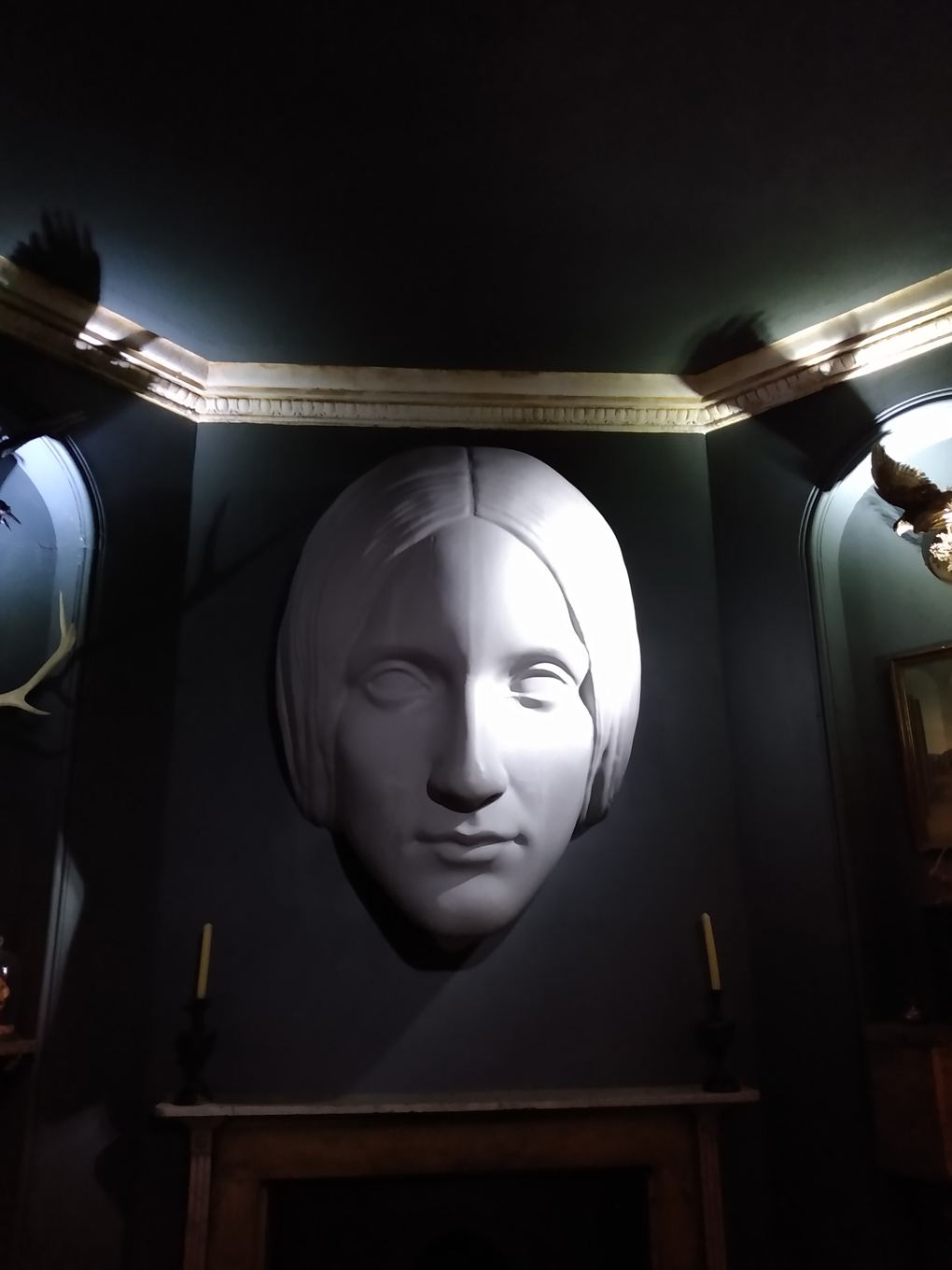 A large, white sculpt of Mary Shelley's face cast in shadow looks down