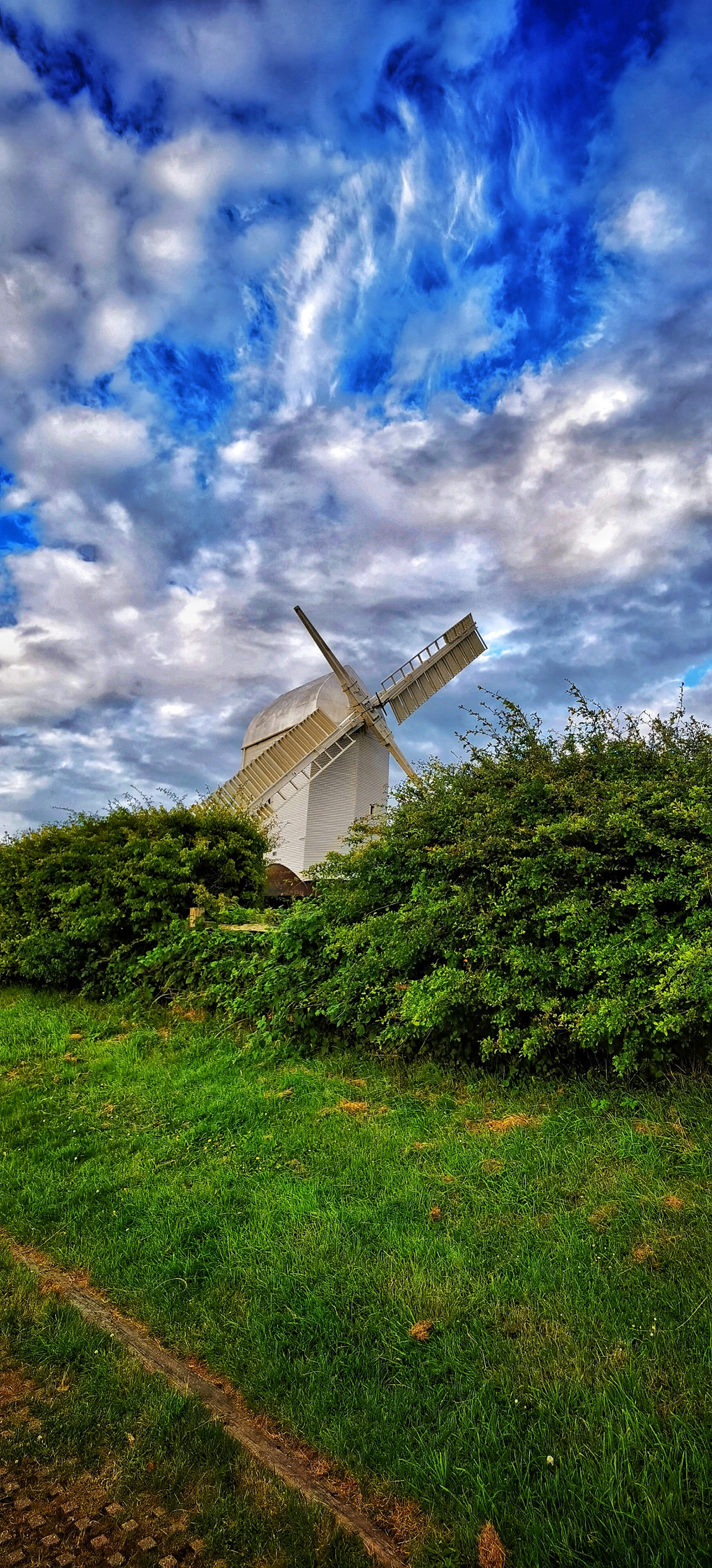 Windmill behind green hedge with blue sky and clouds