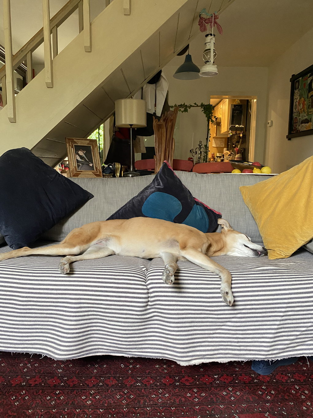 A hot dog stretched out lazily across a sofa
