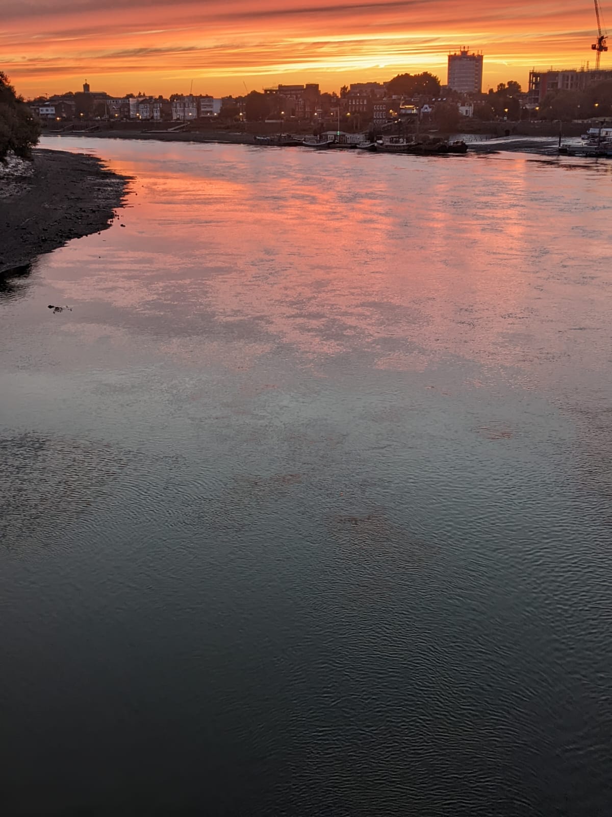 Pink sunset over river with buildings in distance