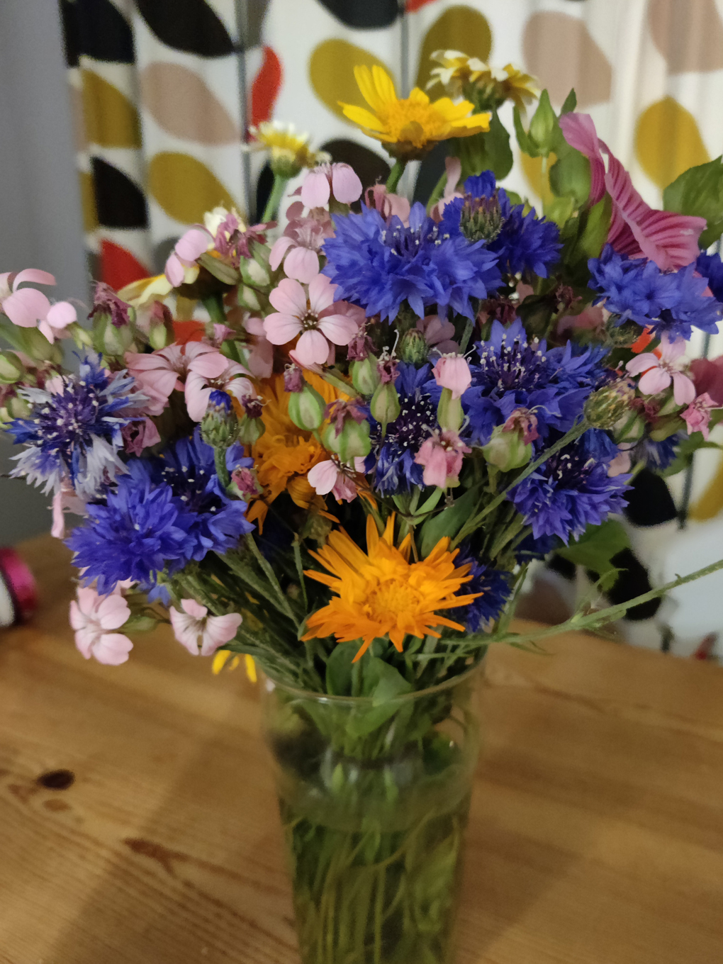 A colourful bunch of flowers in a vase, with particularly bright blue cornflowers