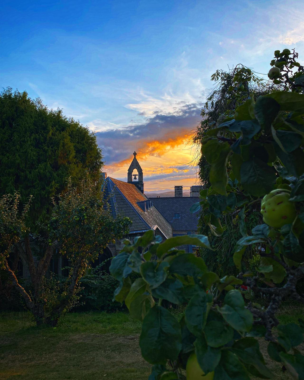 Apple tree, bell tower' chapel, mountains in the distance