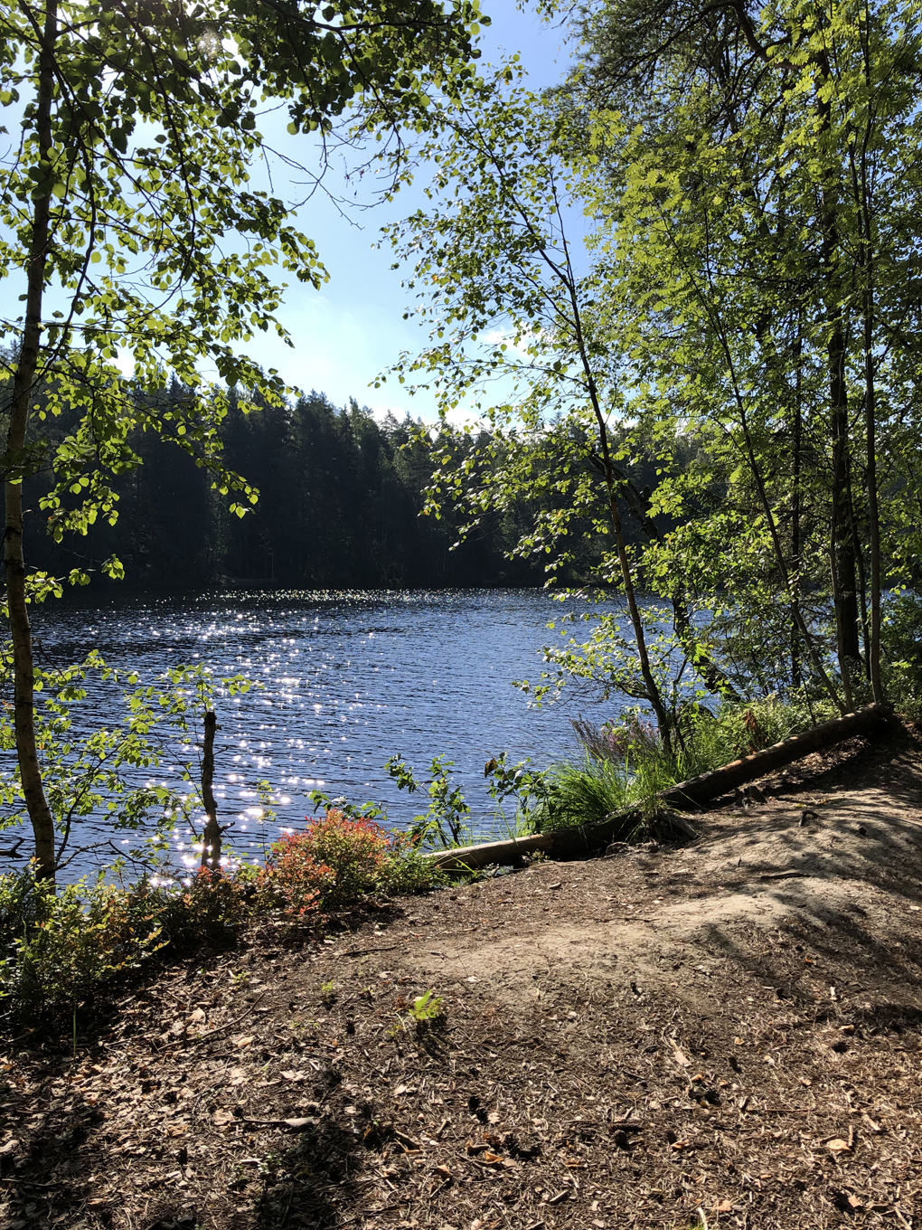 Trees and water