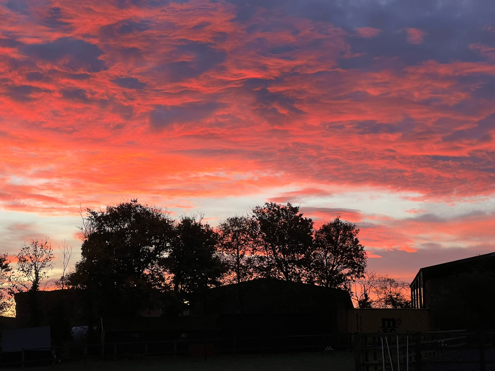 Pink and red sky over buildings