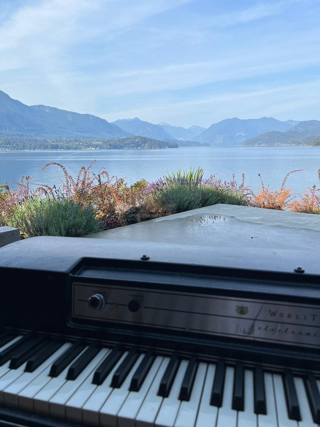 A Wurlitzer keyboard in front of the sea and mountains and purple flowers