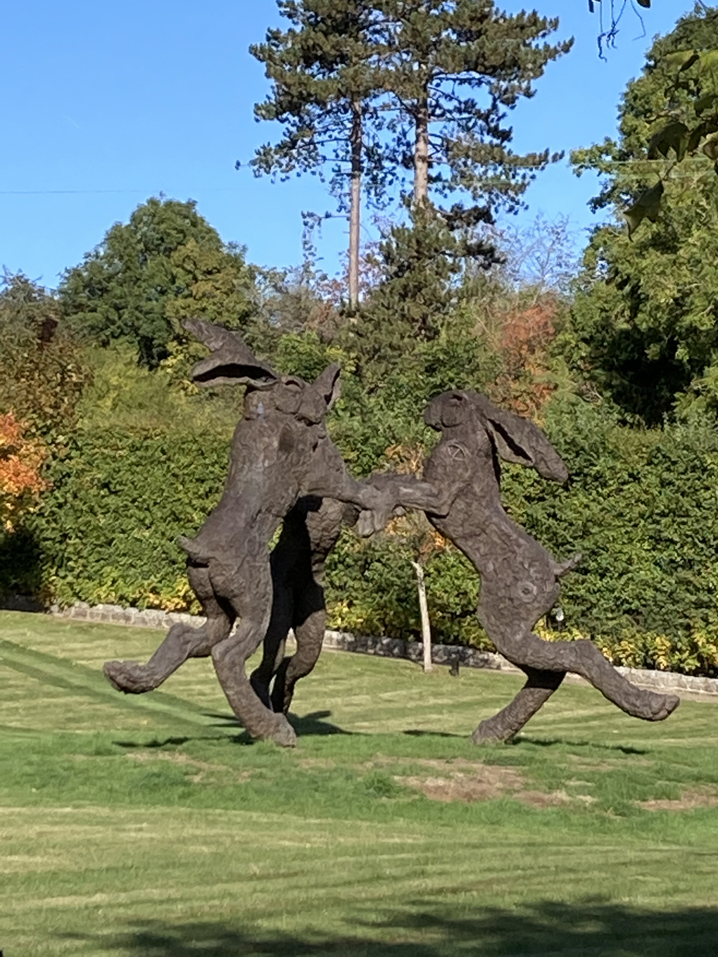 Boxing hares