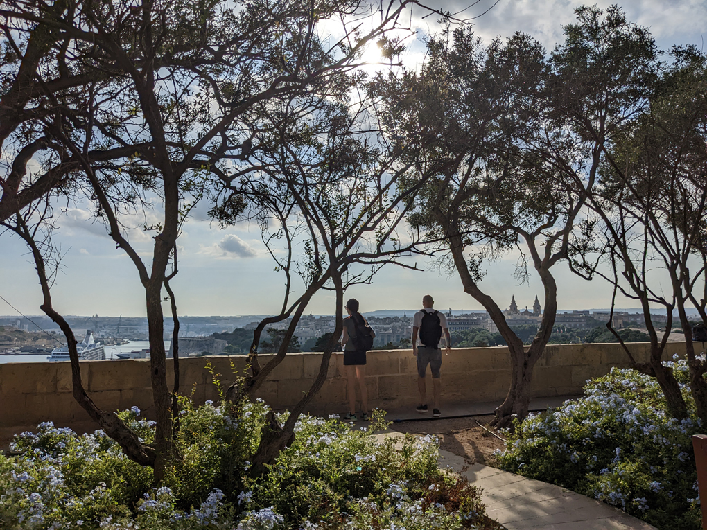 View looking over the grand harbour from the gardens framed by trees and purple flowers