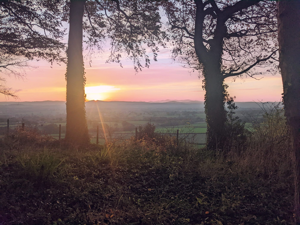 Sun setting over mountains behind leafless tree