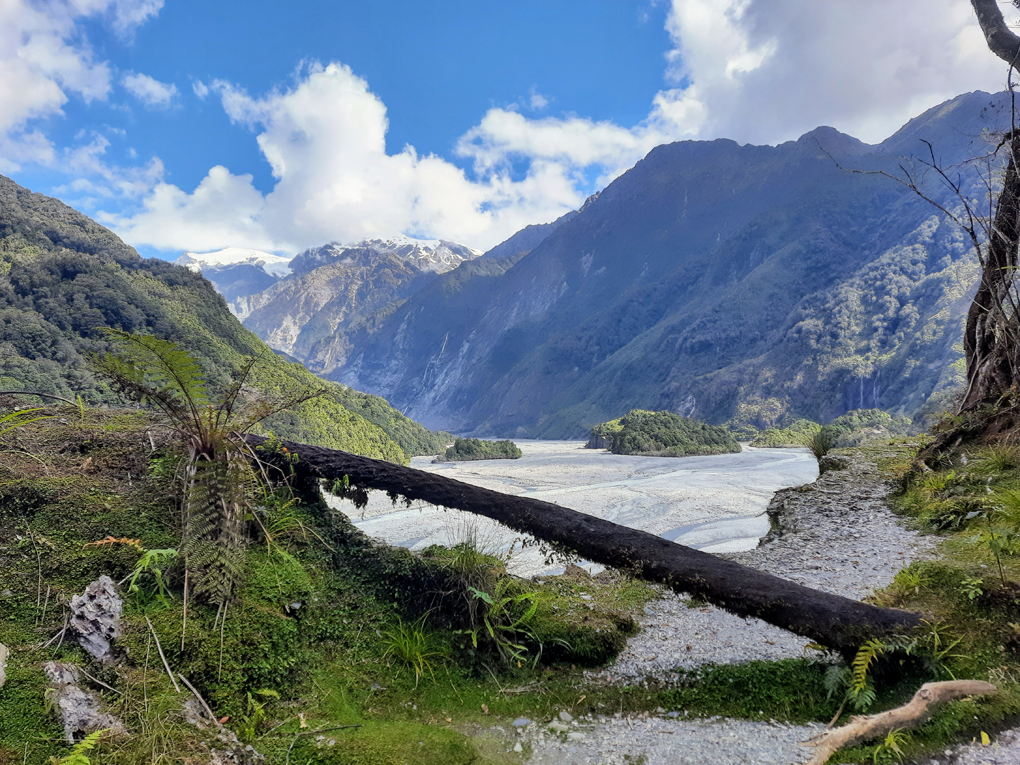 A landscape view taking from a footpath. In the background, tall mountains crested with snow shape a dramatic V-shaped valley where an icy bue river cuts between them. In the foreground, lush bright vegetation surrounds a fallen log and moss covers every surface.