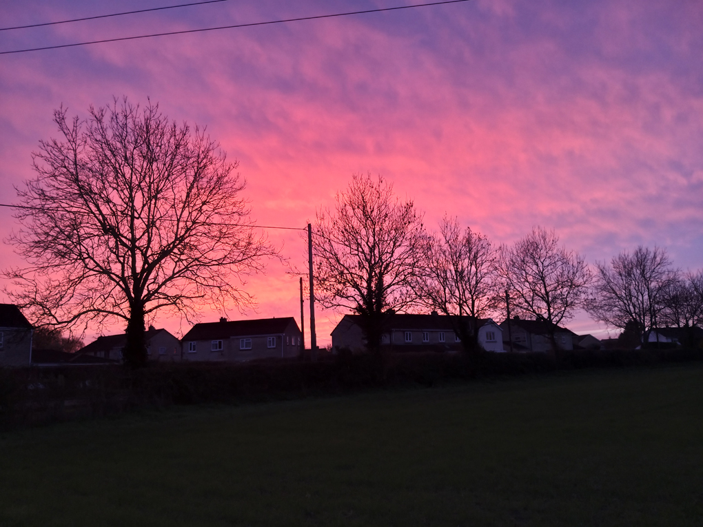Dramatic colourful sky behind a tow of leafless trees