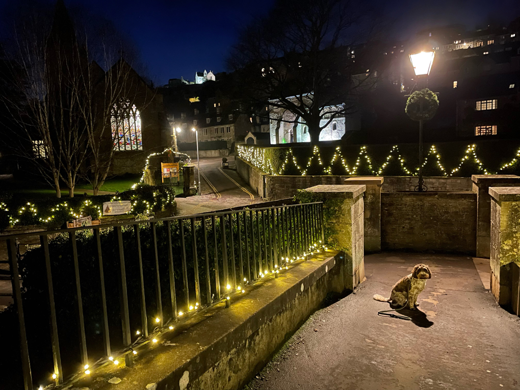 Bridge and surrounds including hedges decked in xmas lights. Little brown and white dog sat at end of bridge