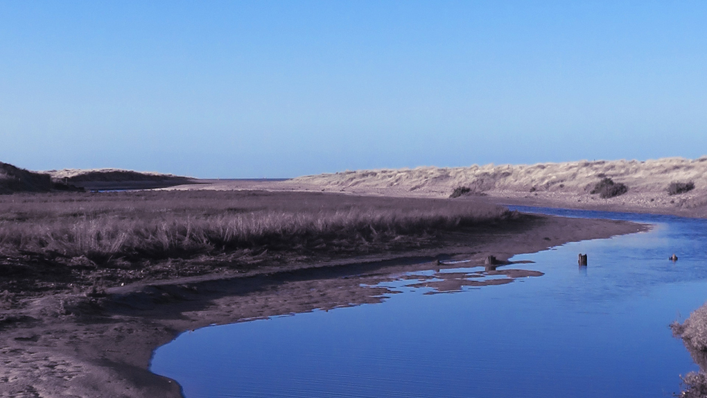 we see the Dunes, Holme Next the Sea, North Norfolk