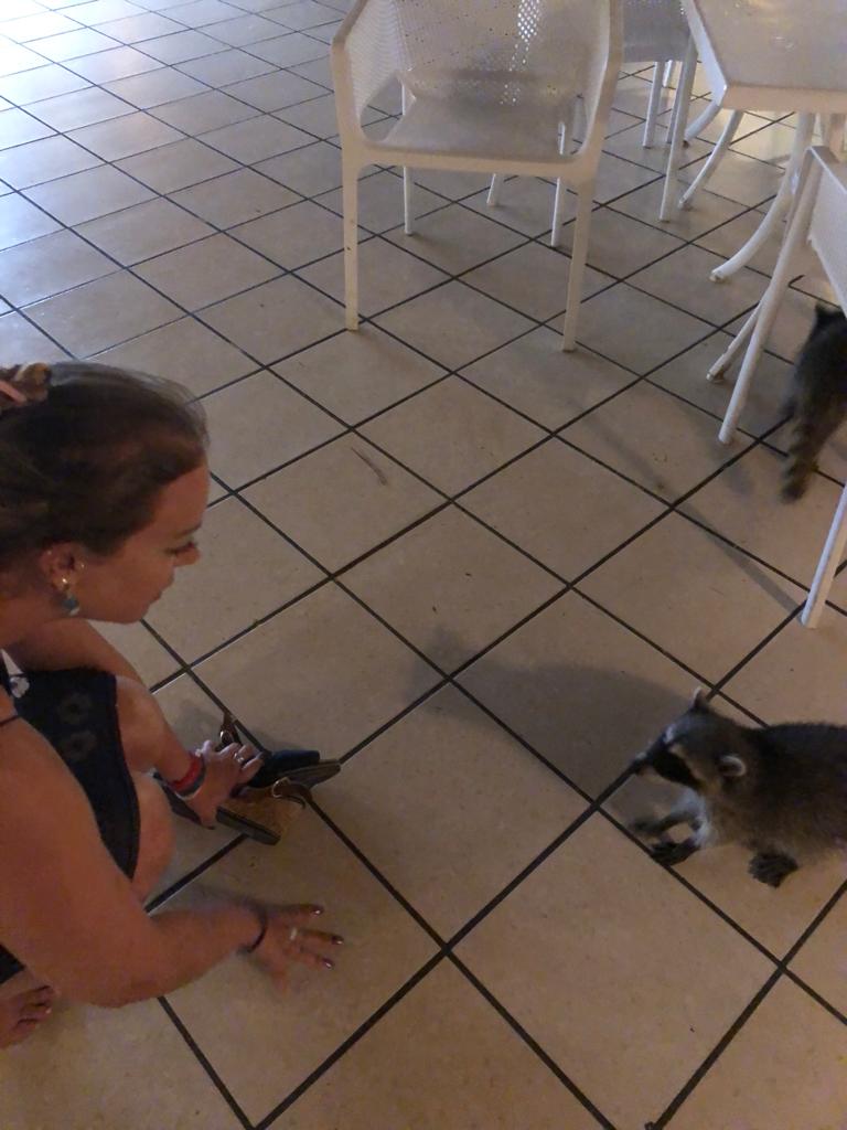 Lady and raccoon playing on the floor