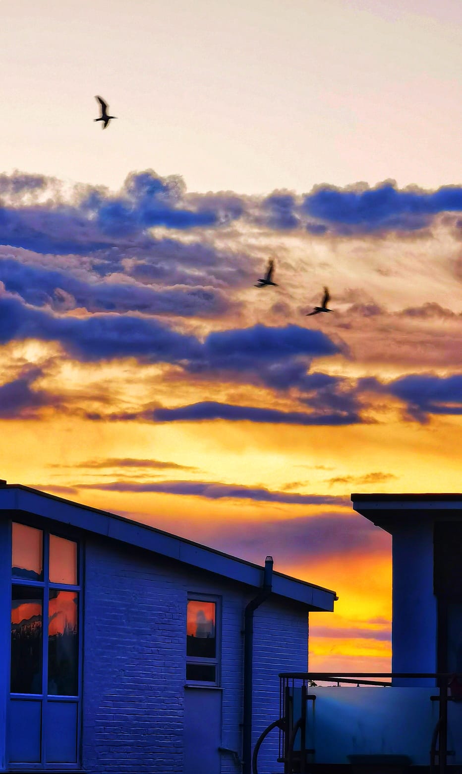 Sunset over buildings with birds silhouetted