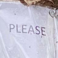 An ivy-covered tree with a laminated paper sign nailed to it. The sign only says 'please' in small letters